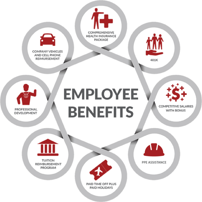 HR EmployeeGraphic-edit